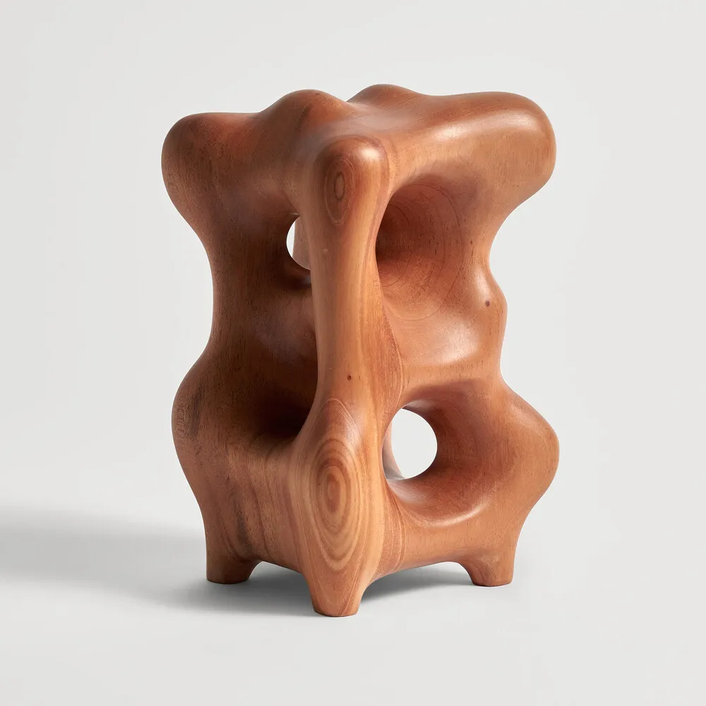 [29703] Natural Organic sculpture